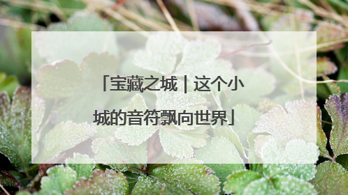 宝藏之城｜这个小城的音符飘向世界