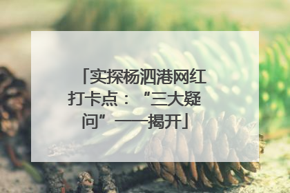实探杨泗港网红打卡点：“三大疑问”一一揭开