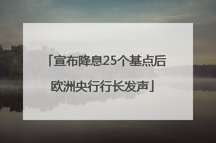 宣布降息25个基点后 欧洲央行行长发声