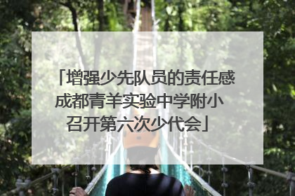 增强少先队员的责任感 成都青羊实验中学附小召开第六次少代会