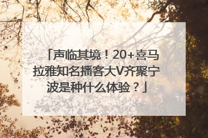声临其境！20+喜马拉雅知名播客大V齐聚宁波是种什么体验？