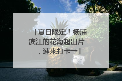 夏日限定！杨浦滨江的花海超出片，速来打卡→