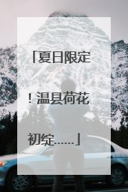 夏日限定！温县荷花初绽……
