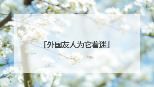 外国友人为它着迷