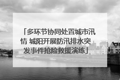 多环节协同处置城市汛情 城阳开展防汛排水突发事件抢险救援演练