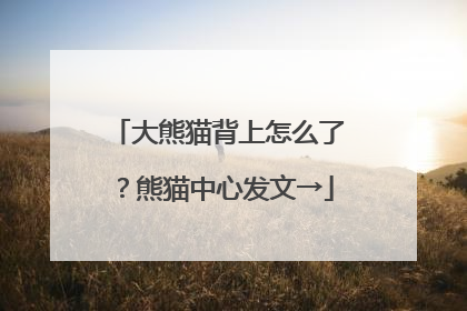 大熊猫背上怎么了？熊猫中心发文→