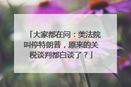 大家都在问：美法院叫停特朗普，原来的关税谈判都白谈了？