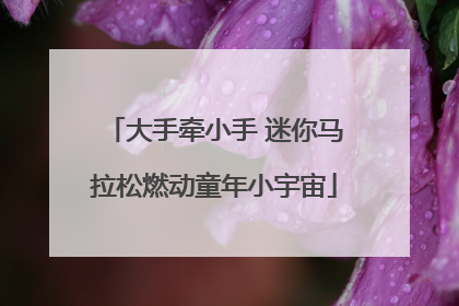大手牵小手 迷你马拉松燃动童年小宇宙