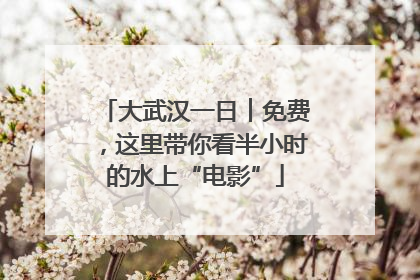 大武汉一日︱免费，这里带你看半小时的水上“电影”