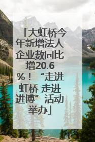 大虹桥今年新增法人企业数同比增20.6%！“走进虹桥 走进进博”活动举办