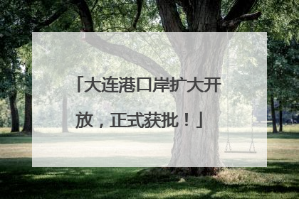 大连港口岸扩大开放，正式获批！