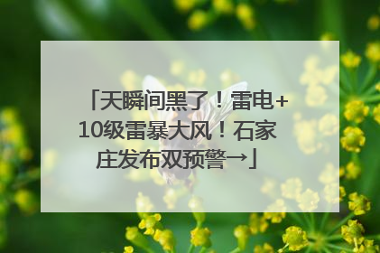 天瞬间黑了！雷电+10级雷暴大风！石家庄发布双预警→