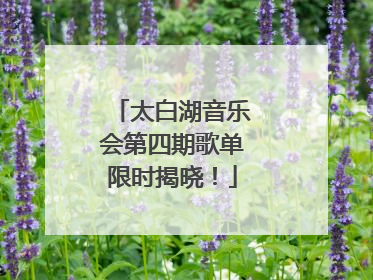 太白湖音乐会第四期歌单限时揭晓！