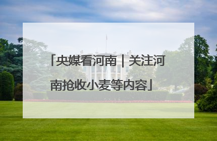 央媒看河南｜关注河南抢收小麦等内容
