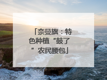 奈曼旗：特色种植“鼓了”农民腰包