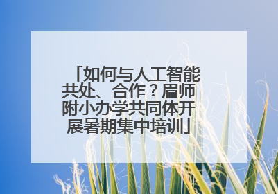 如何与人工智能共处、合作？眉师附小办学共同体开展暑期集中培训