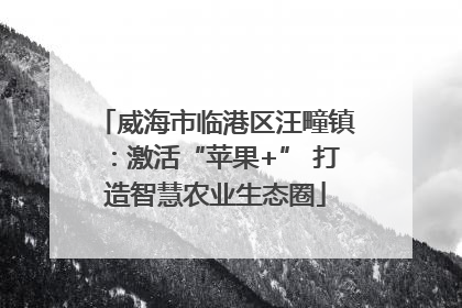 威海市临港区汪疃镇：激活“苹果+” 打造智慧农业生态圈