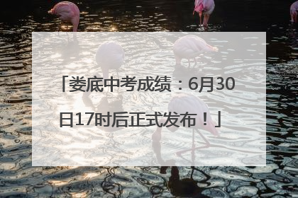 娄底中考成绩：6月30日17时后正式发布！