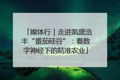 媒体行｜走进凯盛浩丰“番茄硅谷”：看数字神经下的精准农业