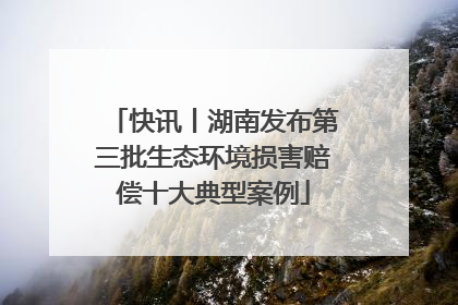 快讯丨湖南发布第三批生态环境损害赔偿十大典型案例