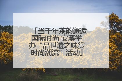 当千年茶韵邂逅国际时尚 安溪举办“品世遗之味赏时尚潮流”活动