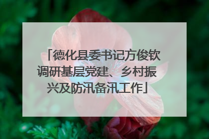 德化县委书记方俊钦调研基层党建、乡村振兴及防汛备汛工作
