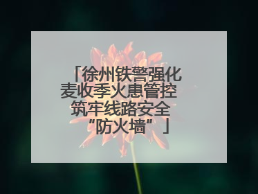 徐州铁警强化麦收季火患管控 筑牢线路安全“防火墙”