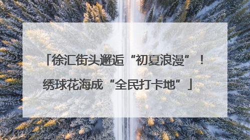 徐汇街头邂逅“初夏浪漫”！绣球花海成“全民打卡地”