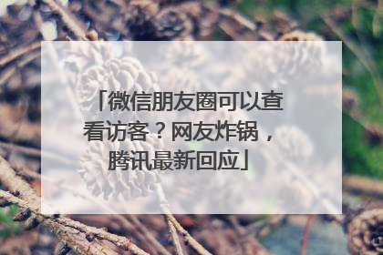 微信朋友圈可以查看访客？网友炸锅，腾讯最新回应