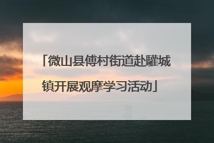 微山县傅村街道赴驩城镇开展观摩学习活动