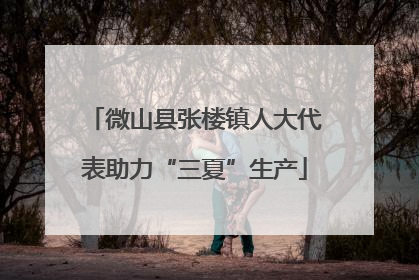 微山县张楼镇人大代表助力“三夏”生产