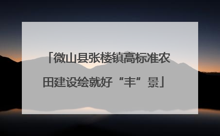 微山县张楼镇高标准农田建设绘就好“丰”景