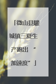 微山县驩城镇三夏生产跑出 “加速度”