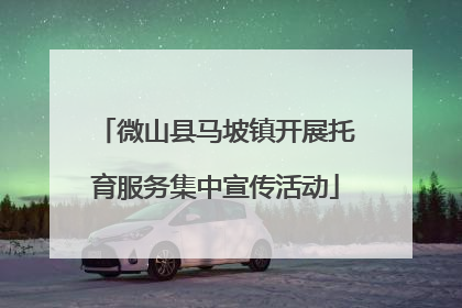 微山县马坡镇开展托育服务集中宣传活动