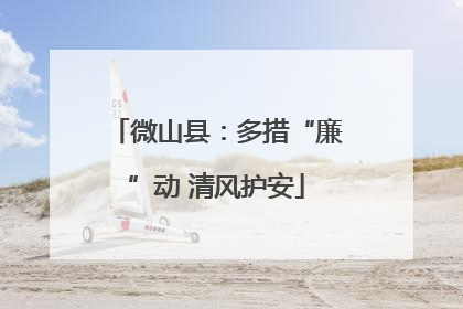 微山县：多措“廉”动 清风护安