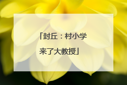 封丘：村小学来了大教授