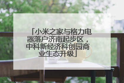 小米之家与格力电器落户济南起步区，中科新经济科创园商业生态升级