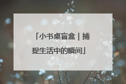 小书桌盲盒｜捕捉生活中的瞬间
