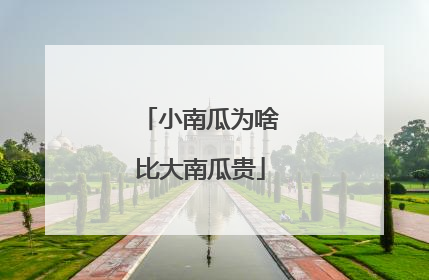 小南瓜为啥比大南瓜贵