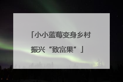 小小蓝莓变身乡村振兴“致富果”