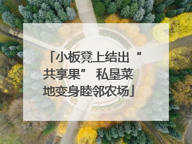 小板凳上结出“共享果” 私垦菜地变身睦邻农场