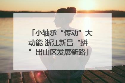 小轴承“传动”大动能 浙江新昌“拼”出山区发展新路