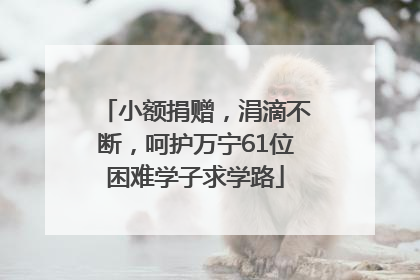 小额捐赠，涓滴不断，呵护万宁61位困难学子求学路