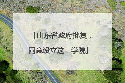 山东省政府批复，同意设立这一学院