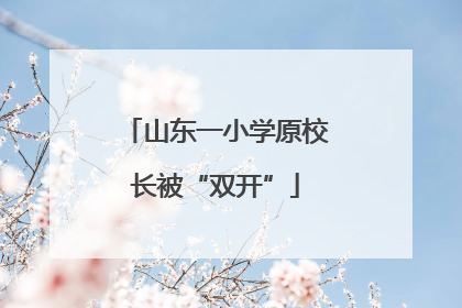 山东一小学原校长被“双开”