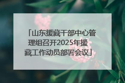 山东援藏干部中心管理组召开2025年援藏工作动员部署会议