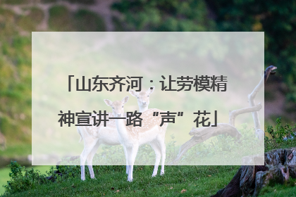 山东齐河：让劳模精神宣讲一路“声”花