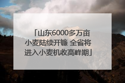 山东6000多万亩小麦陆续开镰 全省将进入小麦机收高峰期