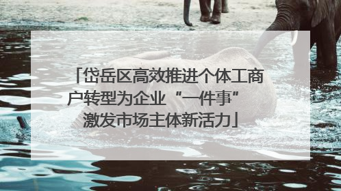岱岳区高效推进个体工商户转型为企业“一件事” 激发市场主体新活力