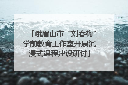 峨眉山市“刘春梅”学前教育工作室开展沉浸式课程建设研讨